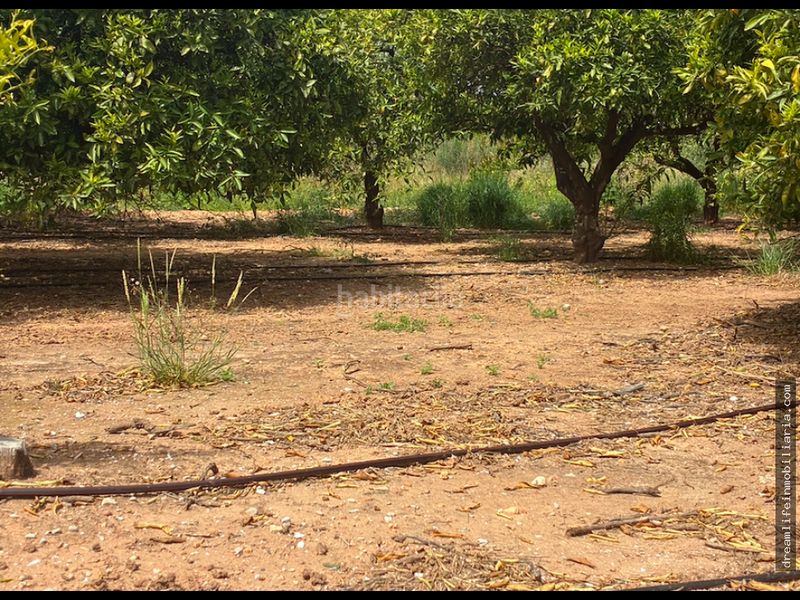 Foto dbf28e78-fdc1-4c76-bf05-a11ba078c511. Terreny residencial a Playa-Ben Afeli Almazora / Almassora