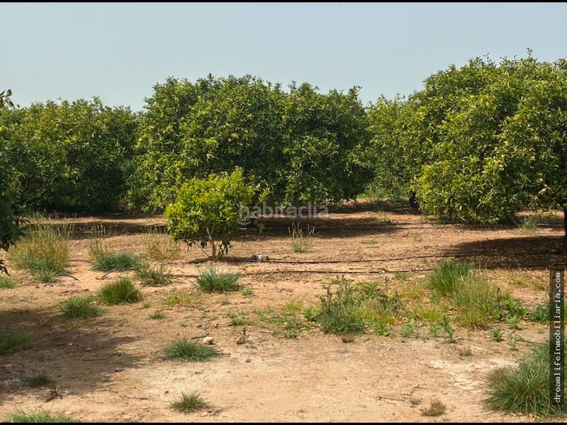 Foto f683e3ec-fad9-49cc-a201-3adfaa532545. Terreny residencial a Playa-Ben Afeli Almazora / Almassora