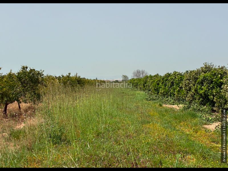 Foto 273f53c6-c3bf-48f4-b60b-de44be4a8c2e. Terreny residencial a Playa-Ben Afeli Almazora / Almassora