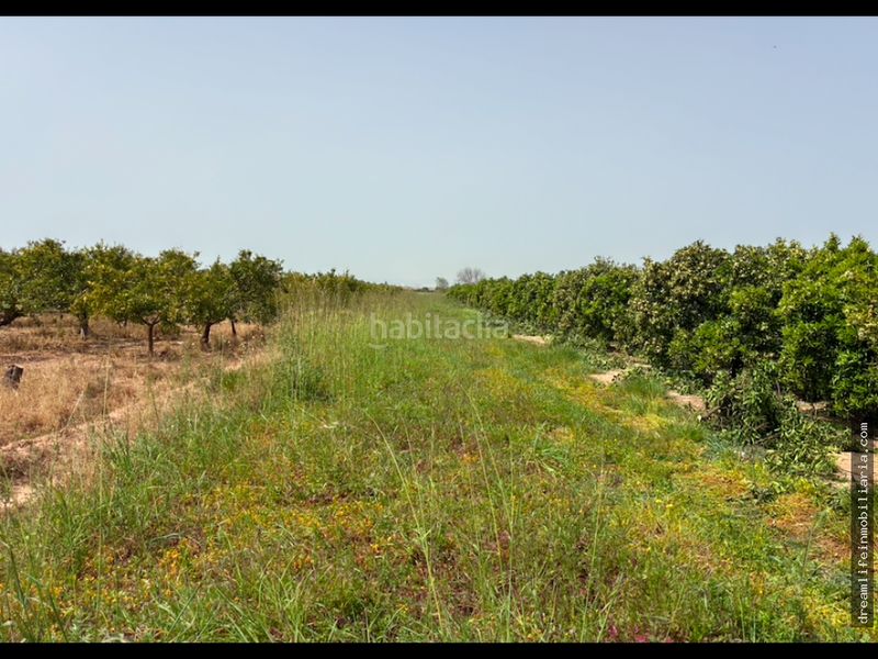 Foto 2d070167-4de5-4580-b629-6cda5563893b. Terreny residencial a Playa-Ben Afeli Almazora / Almassora