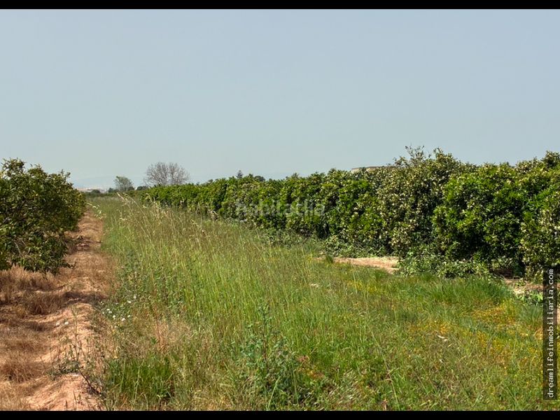 Foto 6b501349-6c9f-4414-8df8-da57bae36f03. Terreny residencial a Playa-Ben Afeli Almazora / Almassora