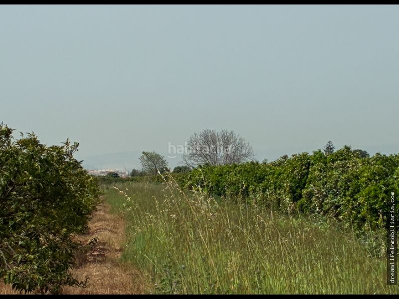 Foto b43fce7d-6734-4279-9047-0b17e88edb77. Terreny residencial a Playa-Ben Afeli Almazora / Almassora