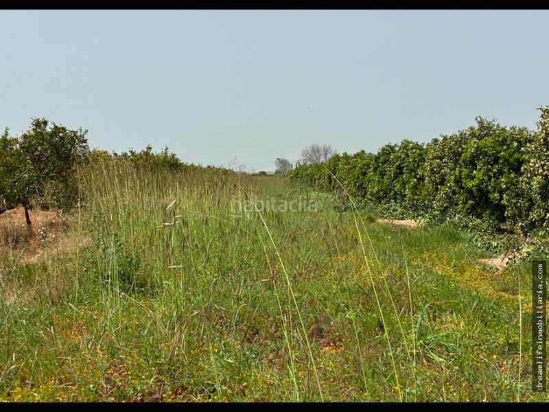 Foto d3d8a507-e152-4b72-ac81-563e7858514d. Terreny residencial a Playa-Ben Afeli Almazora / Almassora