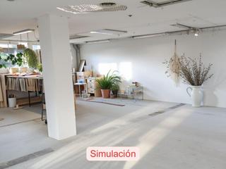 Loft  Carrer pallars