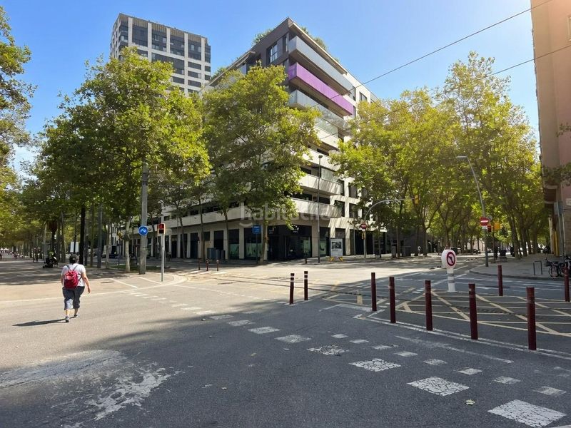Foto 660d0556-62e9-4d0a-b6f5-f780b9e9a7b7. Pis a Provençals del Poblenou Barcelona
