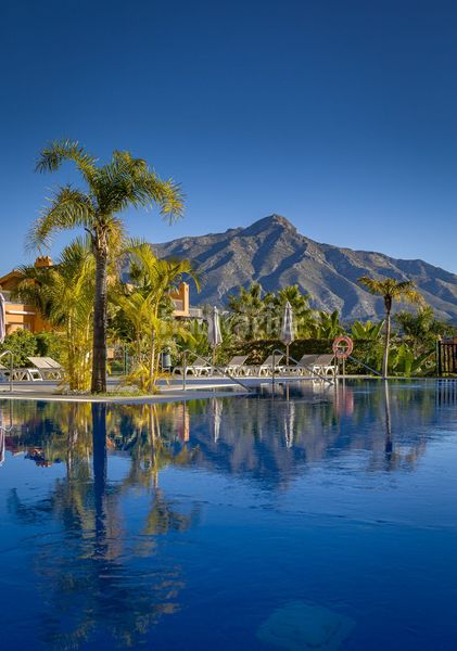 Foto 3002fd3a-16a7-459a-b863-2498187fb8b4. Planta baixa amb aparcament piscina a Las Brisas Marbella