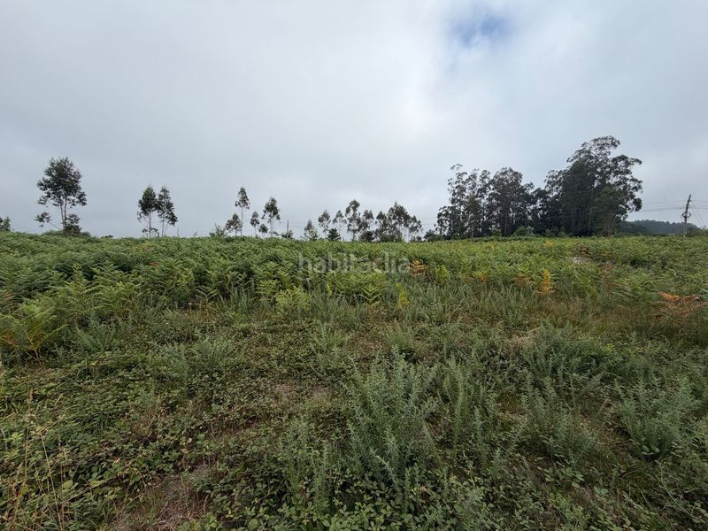 Foto 6575f326-23e4-4155-8c7b-e96ffb61b4c9. Terreny residencial a Laracha