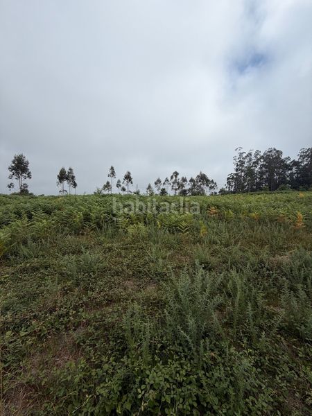 Foto aeb53e66-41a6-41fb-a3ea-5ab9cc7020cd. Terreny residencial a Laracha