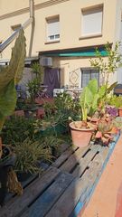 Pis a Carrer de Tàrrega