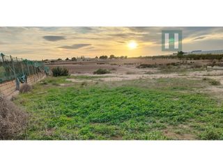 Masia  Casa de la rambla. Finca de 5.700m2 en zona de el jimenado en cartagena muy pr�ximo