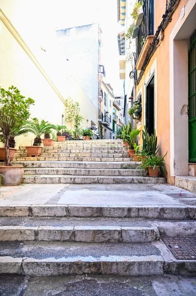 Foto c71ad179-5191-4bda-80a6-c88d460b50eb. Planta baixa a Sant Jaume Palma de Mallorca