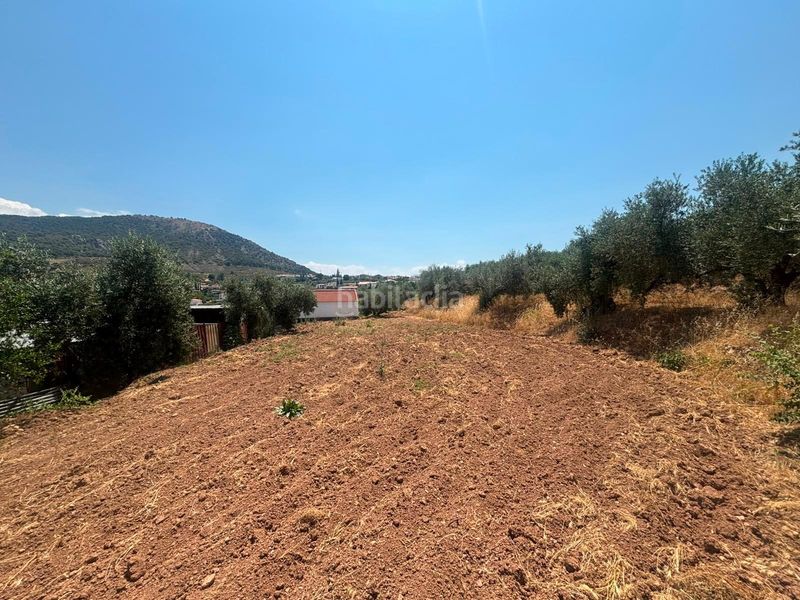 Foto ce123e78-ff97-44ce-9176-147f0c09f17c. Finca rústica a Nívar