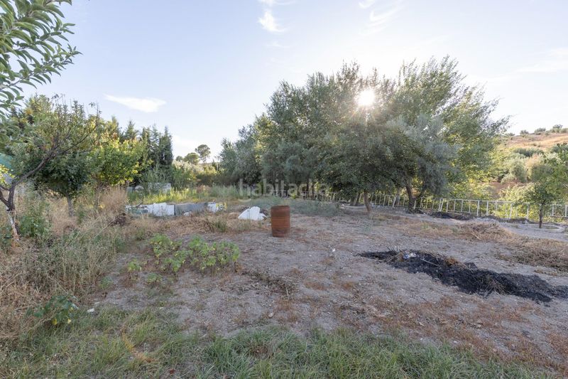 Foto e7220326-e0f1-4e95-8767-0f699816edb5. Terreny residencial a Chauchina