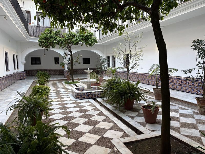 Foto d1127c89-c8e3-4e9a-a153-ac67a48edb70. Pis a Centro-Calzada-Cabo Noval Sanlúcar de Barrameda