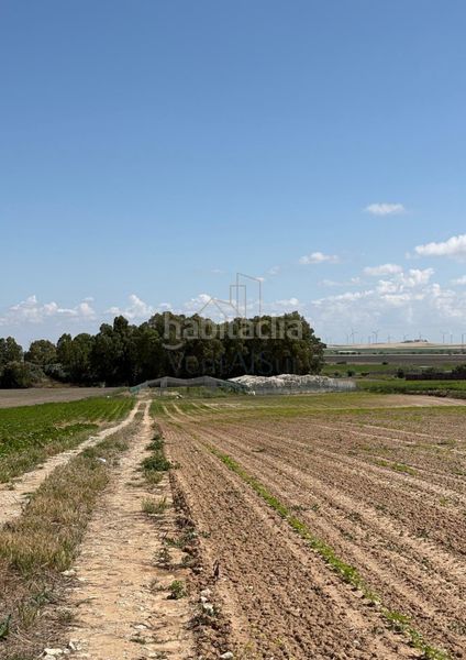 Foto 5a338138-b678-4121-b40d-c1367b9e8a35. Finca rústica a Norte - Blanca Paloma Rota
