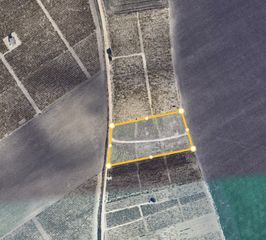 Rural plot in Ctra Jerez-Ctra del Puerto. Parcela rustica de 7.300m2