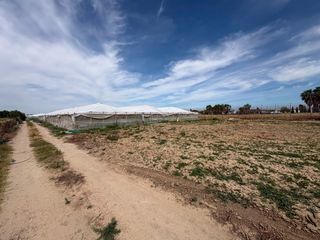 Finca rústica a Chipiona Norte. Finca agrícola con dos invernaderos, agua de pozo y luz