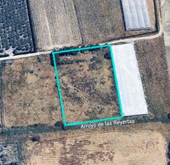 Finca rústica a Ctra Jerez-Ctra del Puerto