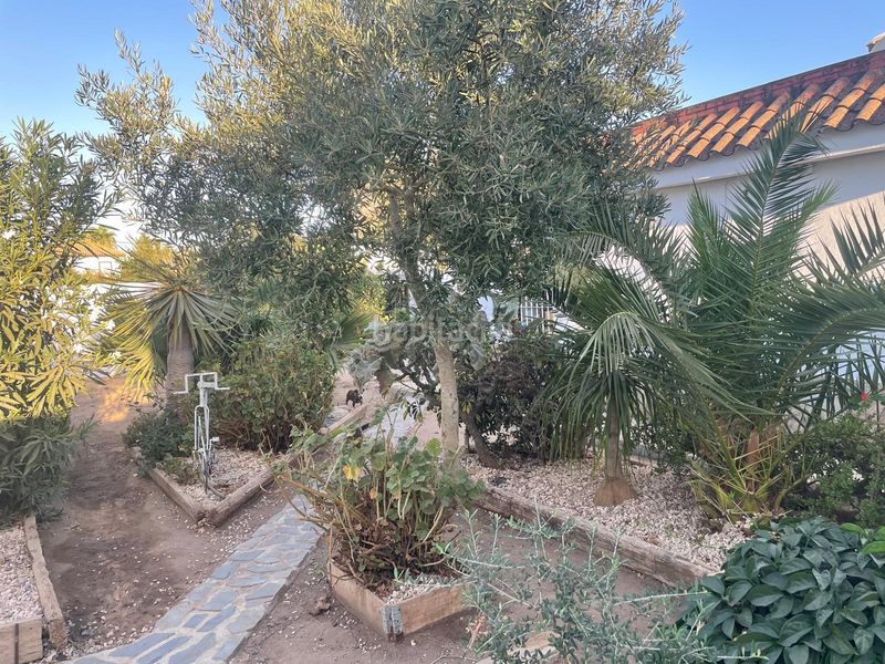Foto 076844b8-e052-47da-a019-1eb7c6d96f87. Casa amb xemeneia piscina a La Jara Sanlúcar de Barrameda
