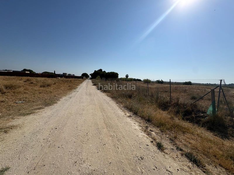 Foto 5a7388c5-8048-41a4-9c7f-a422c8fa1f9f. Finca rústica a Chipiona norte Chipiona