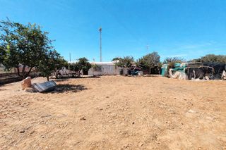 Mas�a en La Jara. Parcela de 2.000 m� con construcci�n y suministros en la jara