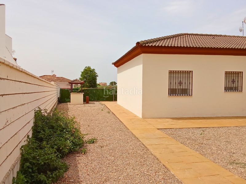Foto 10a124a9-9fd7-427c-aff1-09c286d9c95a. Chalet en Carlota (La)
