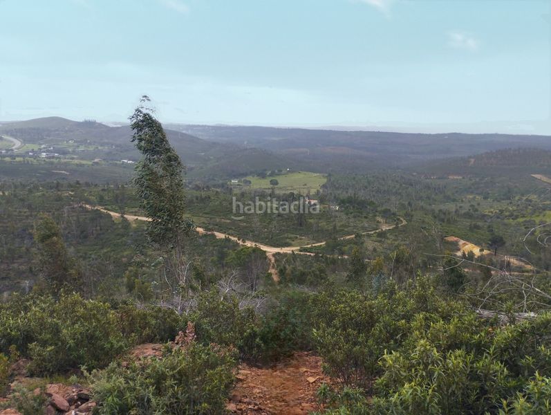 Foto 6e1d1342-c6c1-4993-b46e-e7ff02e8a0a6. Masia amb xemeneia a Campillo (El)