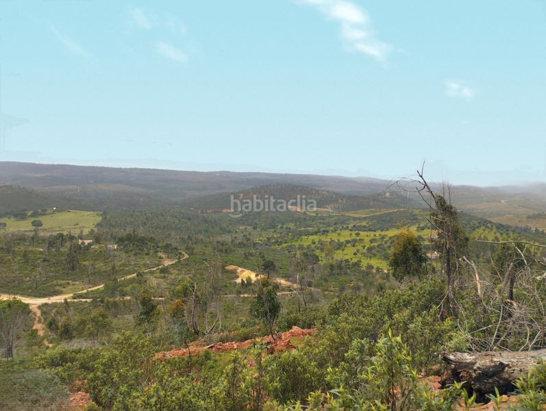 Foto 80d65765-5e61-4711-8516-b09cc595a859. Masia amb xemeneia a Campillo (El)