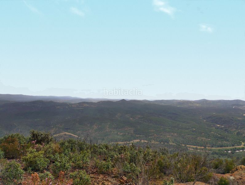 Foto b570e991-2c0f-486f-bdba-faefabf15efb. Masia amb xemeneia a Campillo (El)