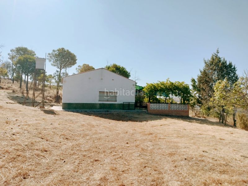 Foto d4532853-e546-41de-a61e-b204e963e469. Masia amb xemeneia a Campillo (El)