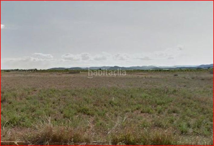 Foto 18bf0ef0-5b1d-4e58-93e4-11a927d7cab8. Finca rústica a Moncófar Pueblo Moncofa