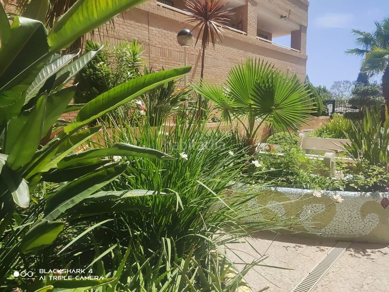 Foto 1392e9e4-d3e6-4f9d-af09-f3119586e5a0. Apartament a camino l'atall 18 a Jardines del Mar Oropesa del Mar