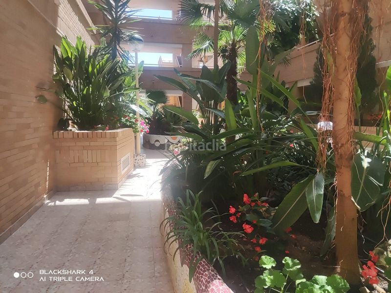 Foto a213d453-0321-4a29-b870-d3917b515b74. Apartament a camino l'atall 18 a Jardines del Mar Oropesa del Mar