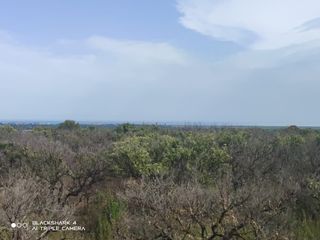 Fondo rustico in Torreblanca. Terreno liso con acciones de agua 17.000m2  en torreblanca