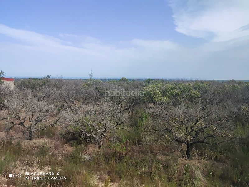 Foto bf97e1ac-0f27-439e-b3b5-fe316f200d17. Finca rústica a Torreblanca