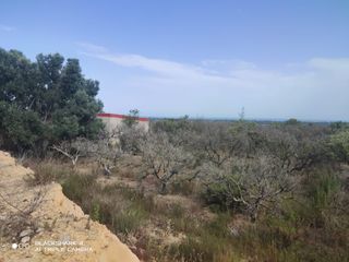 Fondo rustico in Torreblanca. Terreno con acciones de agua y caseta, posibilidad de luz.