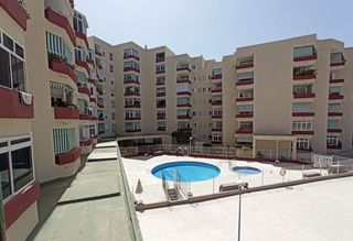 Apartament a eucalipto