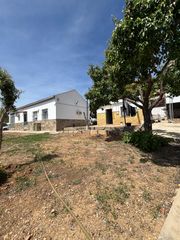 Xalet en Puebla del R�o (La). Magnifico chalet independiente en la puebla del r�o