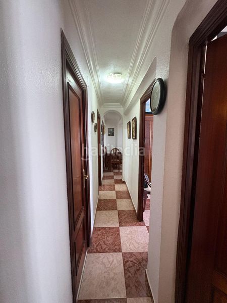 Foto 442f7190-4c98-4566-82f1-020ac6985041. Pis a Cruz Roja Sevilla