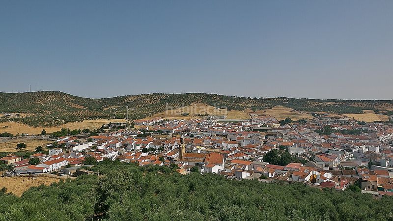 Foto 7b4e6cd2-1047-4543-a2d5-7c2584164303. Pis a Alanís