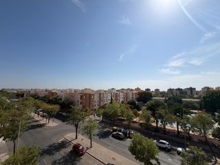 Pis a Pino Montano - Consolación. Piso en pino montano