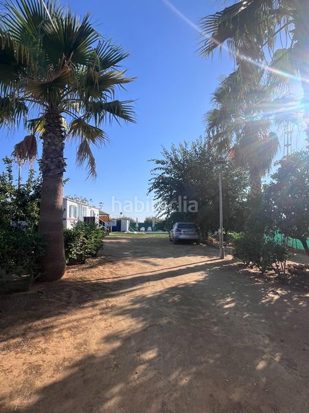 Foto 7554c90e-66b2-48e5-abbb-82cd9ff469c3. Masia a Carmona