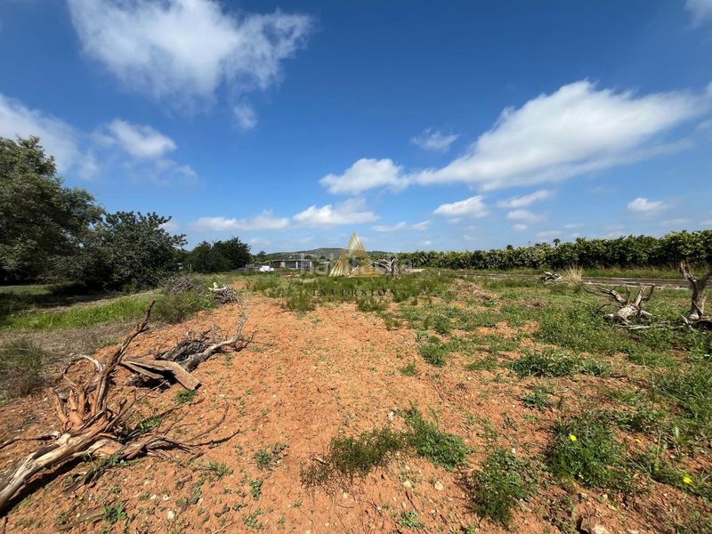 Foto a89dafa8-3cf1-4c1a-904e-d70729ca440d. Masia a Pueblo Benicarló