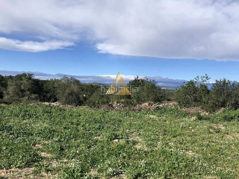 Foto 26cb0e4b-a906-44eb-8de5-69266ddfd386. Terreny residencial a Las Atalayas-Urmi-Cerro Mar Peñíscola