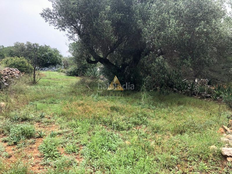 Foto 766bc721-81e7-47e4-bb9f-6dd1127fad8c. Terreny residencial a Las Atalayas-Urmi-Cerro Mar Peñíscola