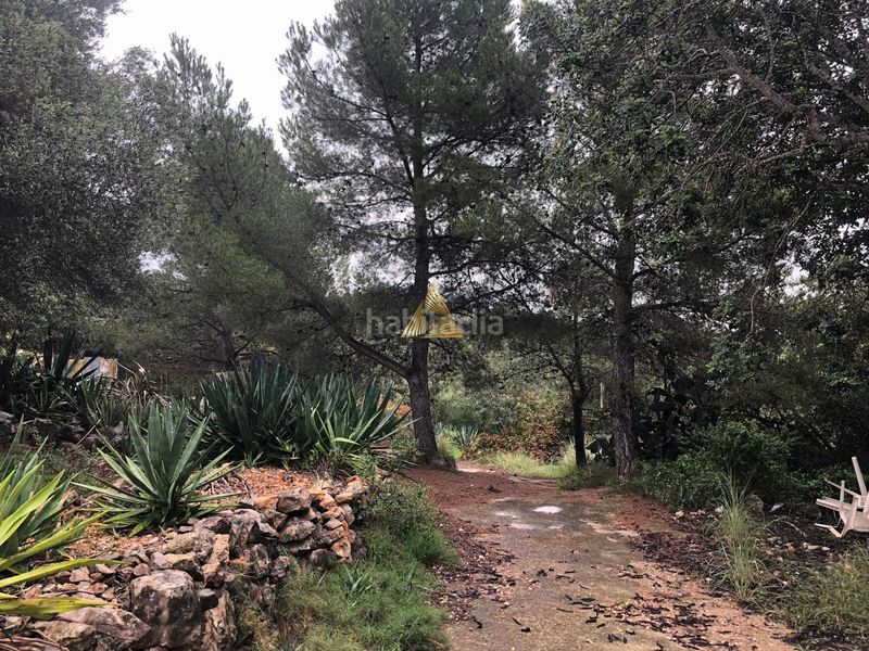 Foto 7c8df94c-e278-4418-bd93-dca0e578323c. Terreny residencial a Las Atalayas-Urmi-Cerro Mar Peñíscola