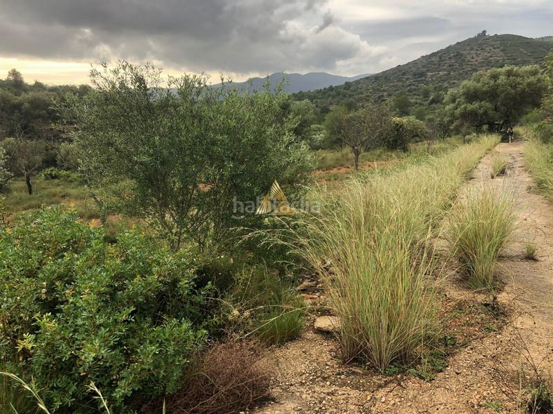 Foto 9129e6f0-c6ca-4191-983c-f00140f79598. Terreny residencial a Las Atalayas-Urmi-Cerro Mar Peñíscola
