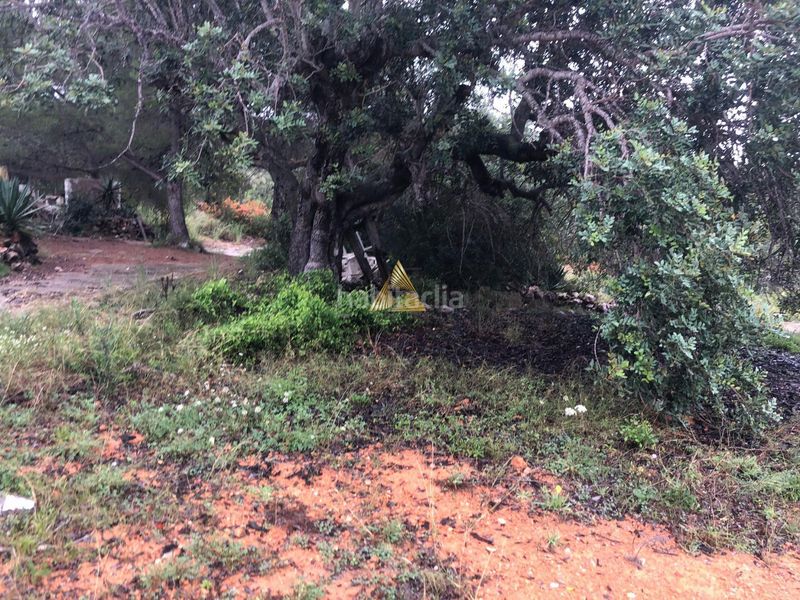 Foto b6f6374a-55fe-41dd-88b9-9b38dbcadef3. Terreny residencial a Las Atalayas-Urmi-Cerro Mar Peñíscola