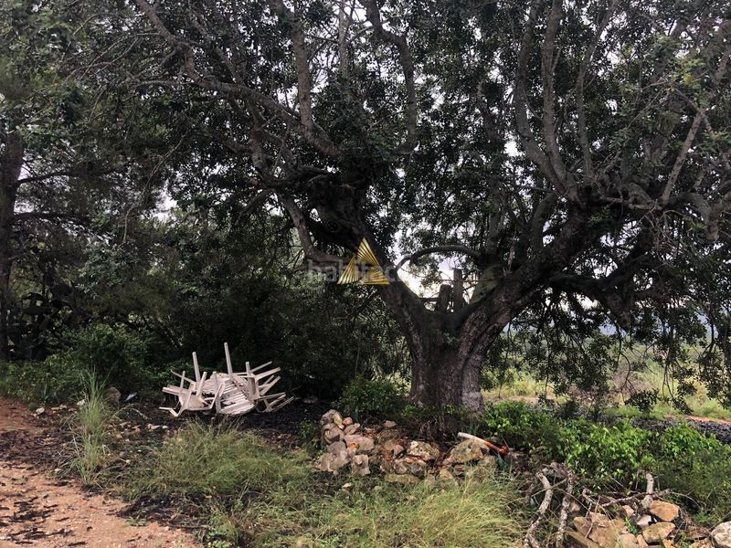 Foto dfb246ea-227e-4dea-b781-dbdd4c2a16fc. Terreny residencial a Las Atalayas-Urmi-Cerro Mar Peñíscola
