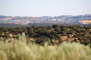 Landgut en Casco Antiguo. Finca ganadera de 650ha cerca de c�ceres